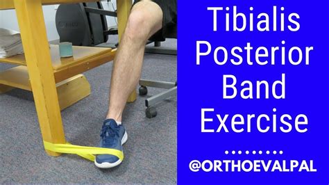 special test for posterior tibialis tear|how to strengthen posterior tibialis.